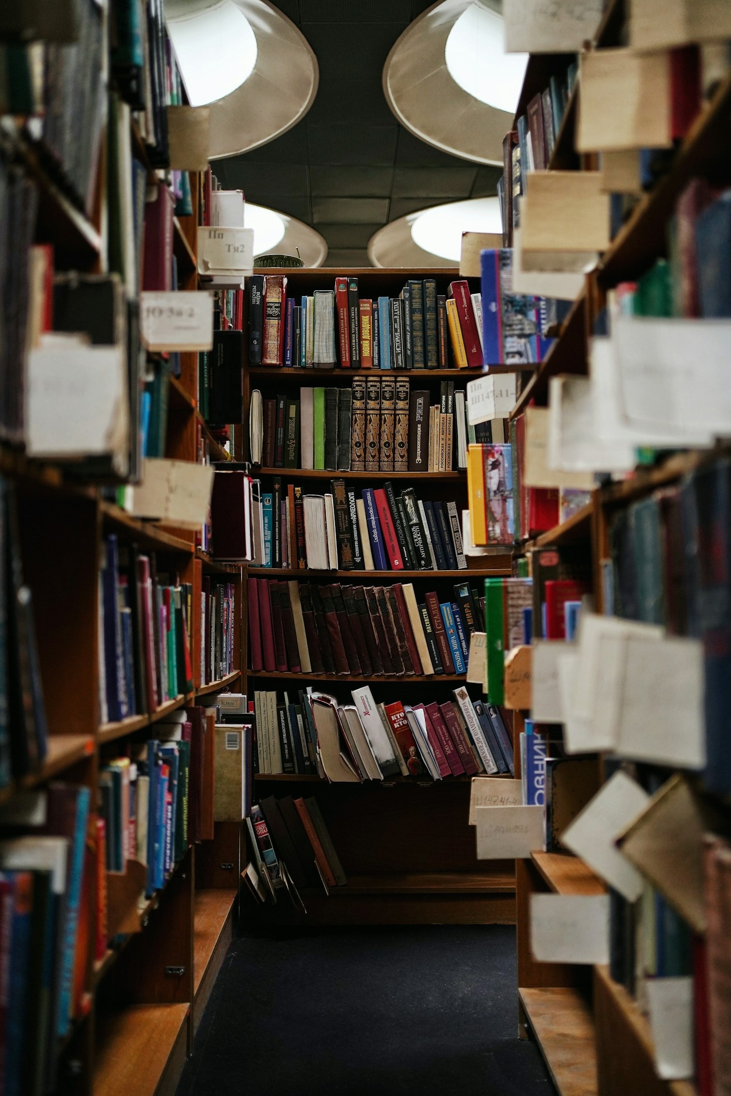 How Libraries Nurture Lifelong Learning