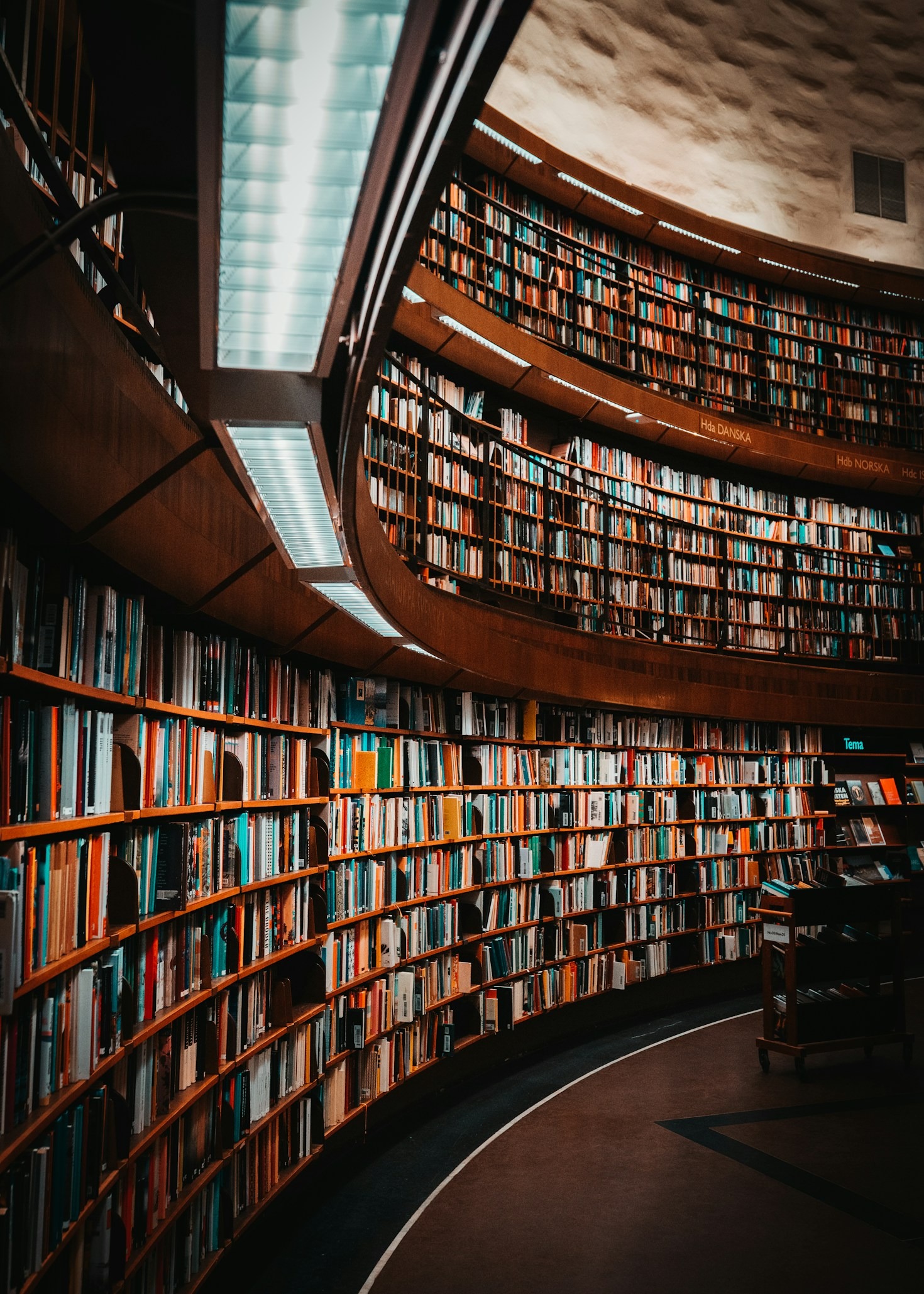 The Role of Libraries in Building Communities